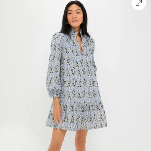 Tuckernuck Dresses & Skirts - Tuckernuck Medium Floral Embroidered Dress